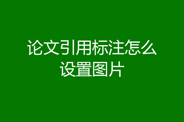 论文引用标注怎么设置图片