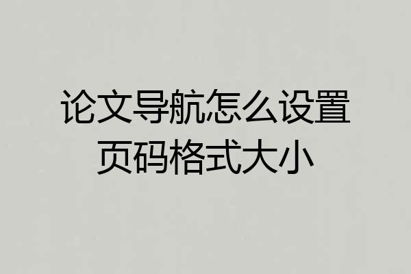 论文导航怎么设置页码格式大小