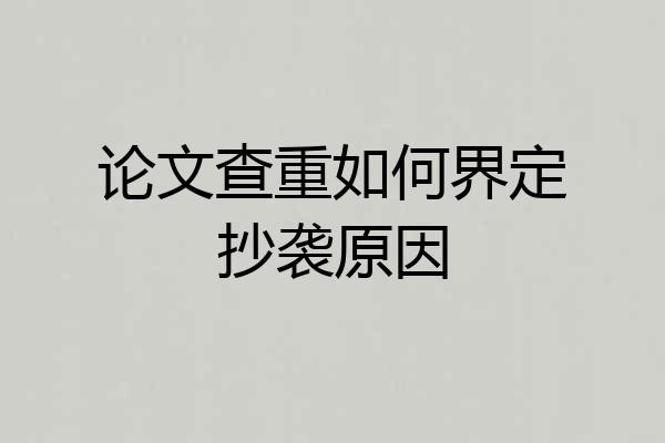 论文查重如何界定抄袭原因