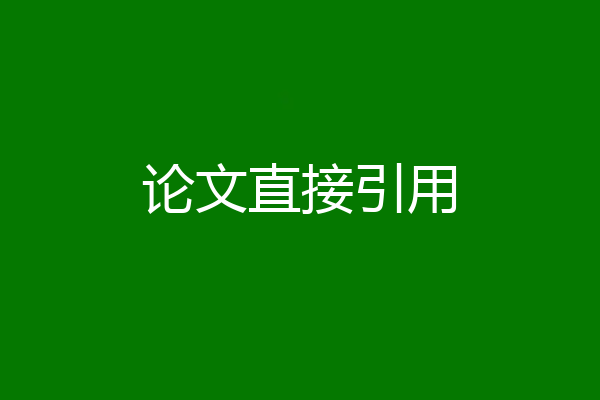 论文直接引用