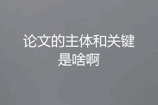 论文的主体和关键是啥啊