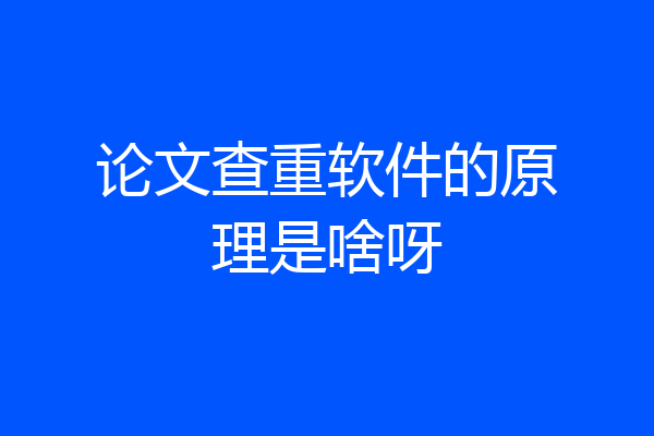 论文查重软件的原理是啥呀