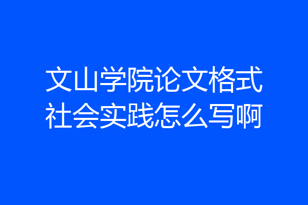 文山学院论文格式社会实践怎么写啊