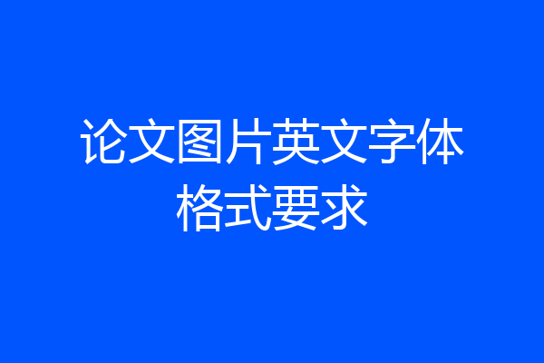 论文图片英文字体格式要求