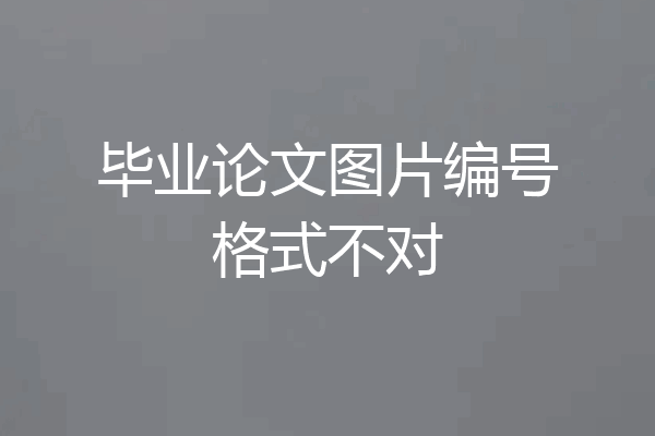毕业论文图片编号格式不对