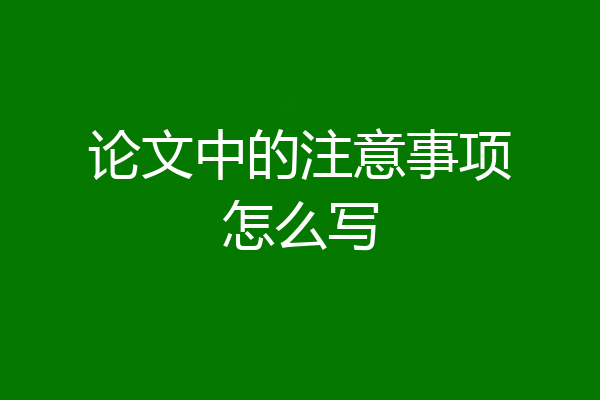论文中的注意事项怎么写