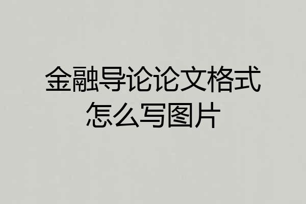 金融导论论文格式怎么写图片