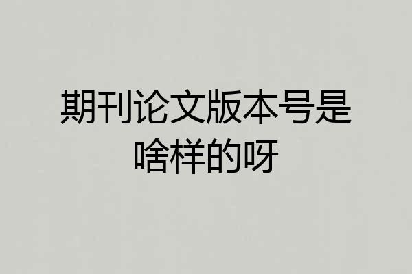 期刊论文版本号是啥样的呀