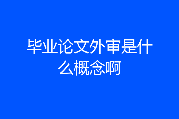 毕业论文外审是什么概念啊
