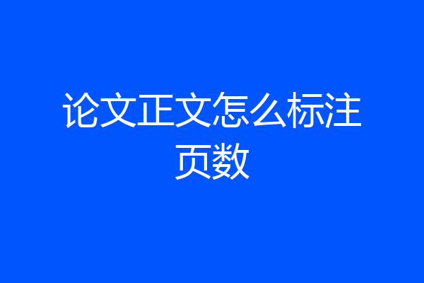 论文正文怎么标注页数