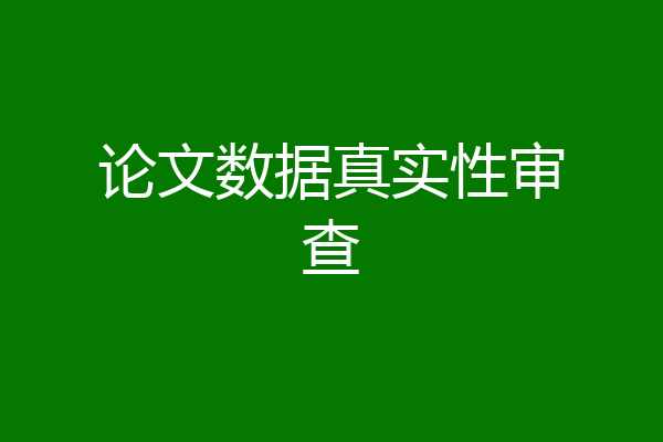 论文数据真实性审查