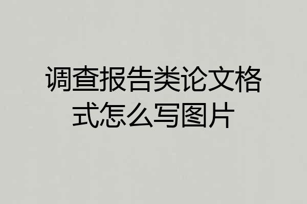 调查报告类论文格式怎么写图片
