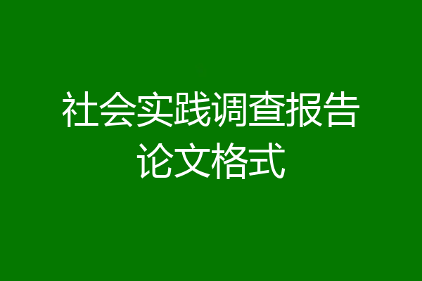 社会实践调查报告论文格式