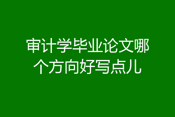 审计学毕业论文哪个方向好写点儿
