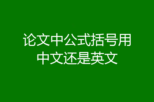 论文中公式括号用中文还是英文