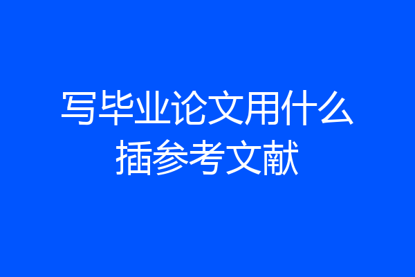 写毕业论文用什么插参考文献