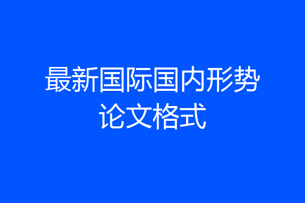 最新国际国内形势论文格式