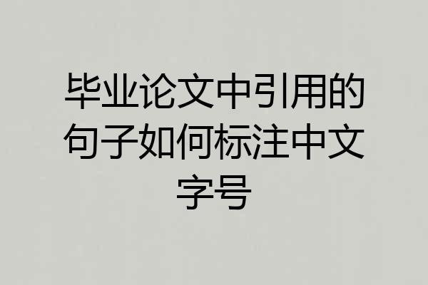毕业论文中引用的句子如何标注中文字号