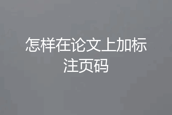 怎样在论文上加标注页码