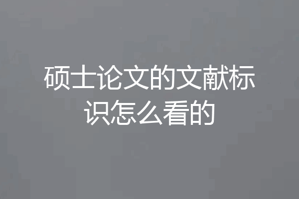 硕士论文的文献标识怎么看的