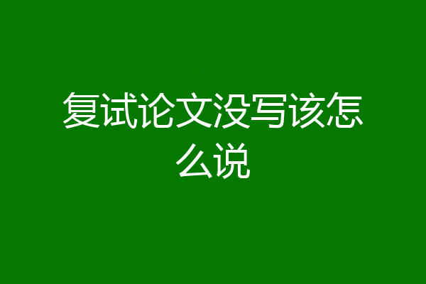 复试论文没写该怎么说