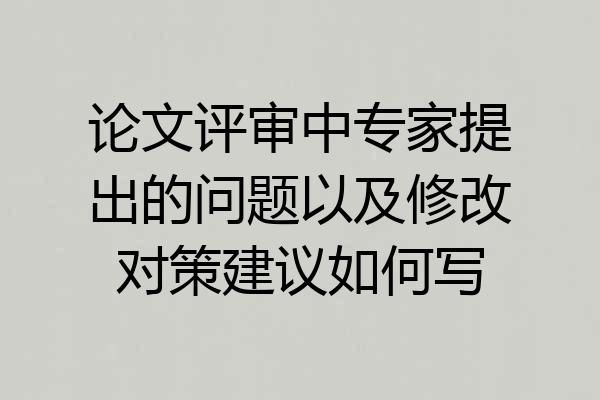 论文评审中专家提出的问题以及修改对策建议如何写