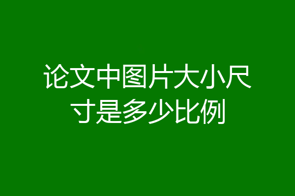 论文中图片大小尺寸是多少比例
