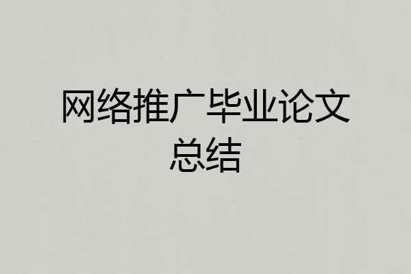 网络推广毕业论文总结