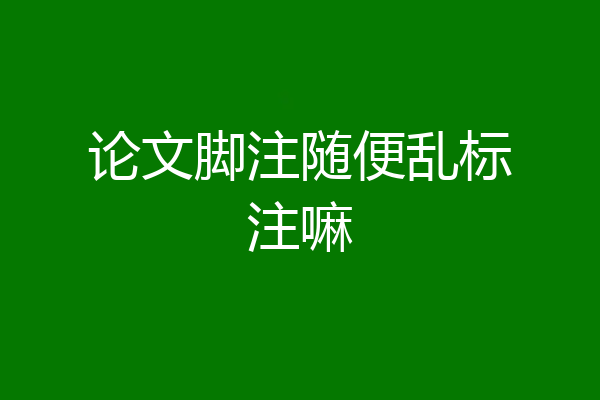 论文脚注随便乱标注嘛