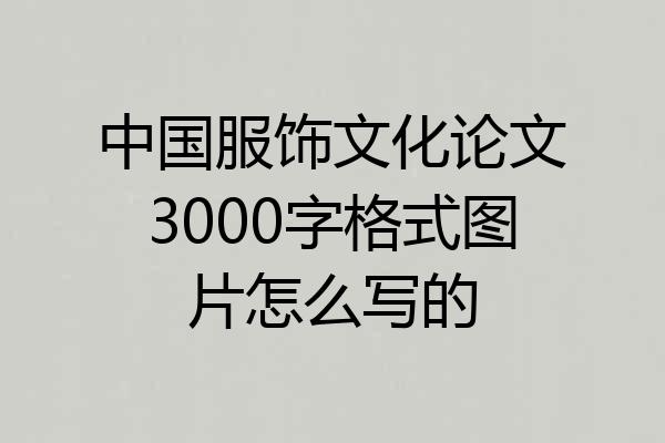 中国服饰文化论文3000字格式图片怎么写的