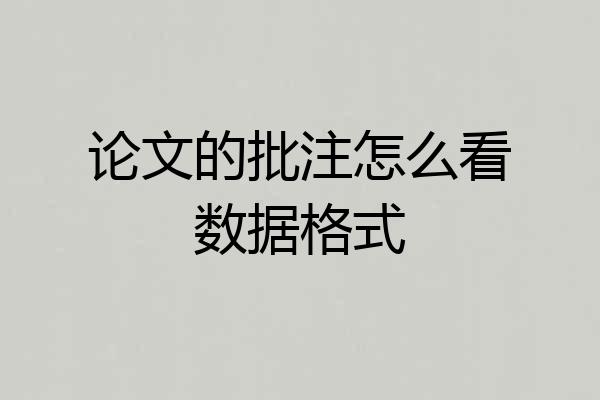 论文的批注怎么看数据格式