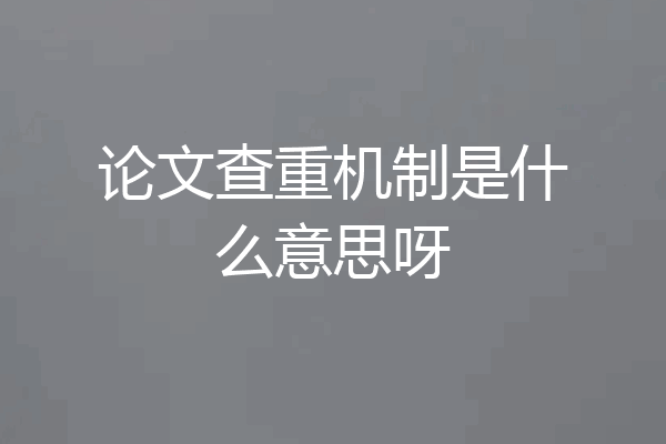 论文查重机制是什么意思呀