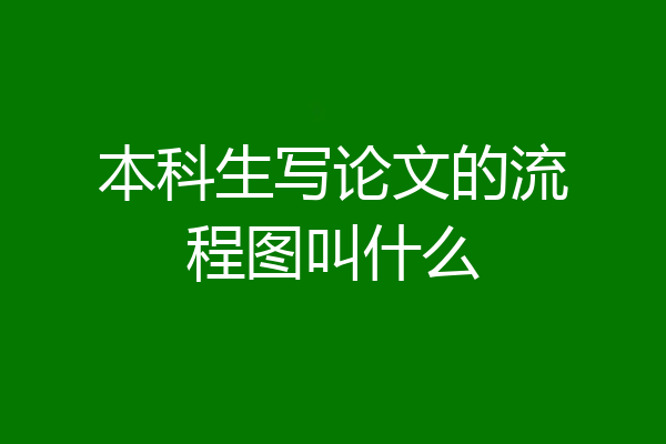 本科生写论文的流程图叫什么