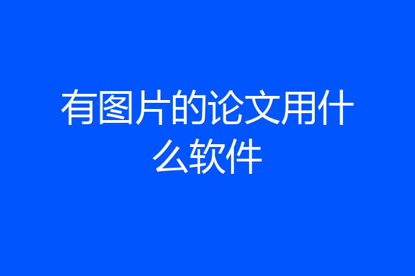 有图片的论文用什么软件