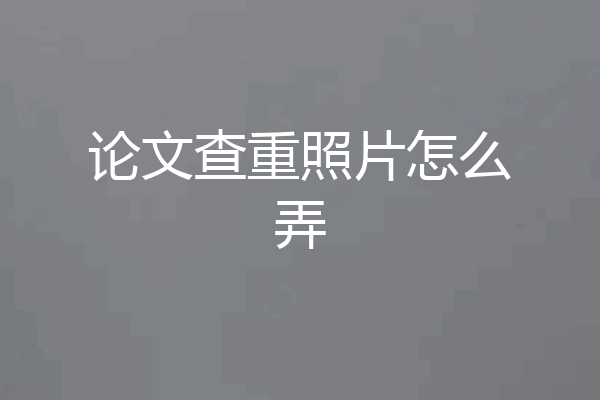 论文查重照片怎么弄
