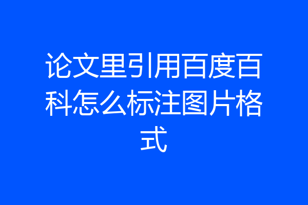 论文里引用百度百科怎么标注图片格式