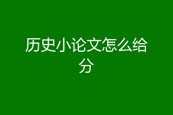 历史小论文怎么给分