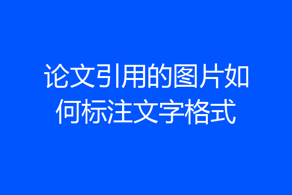论文引用的图片如何标注文字格式