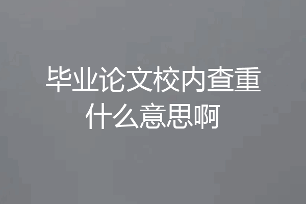毕业论文校内查重什么意思啊