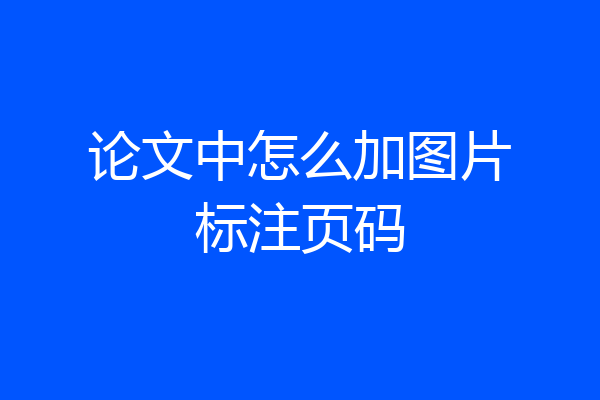 论文中怎么加图片标注页码