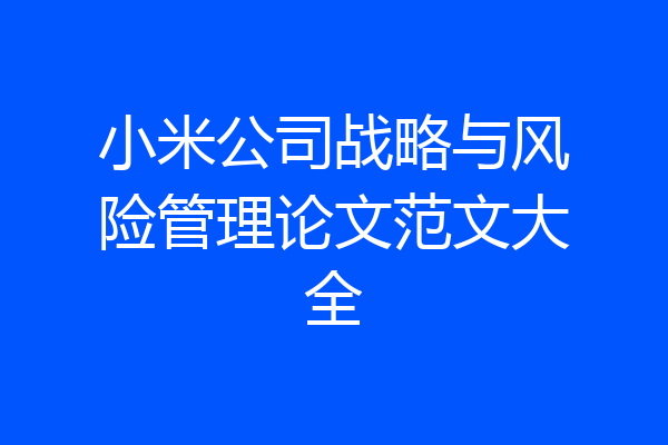 小米公司战略与风险管理论文范文大全