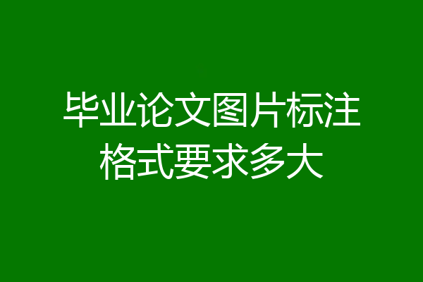 毕业论文图片标注格式要求多大