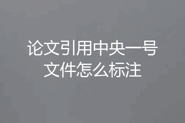 论文引用中央一号文件怎么标注