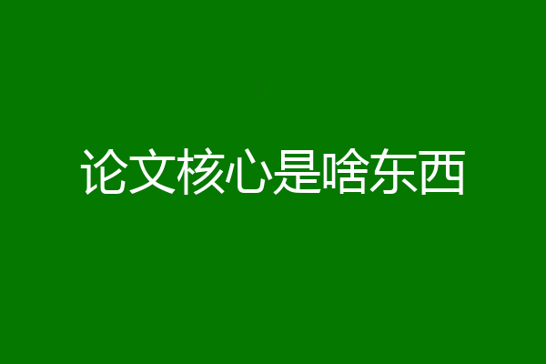 论文核心是啥东西