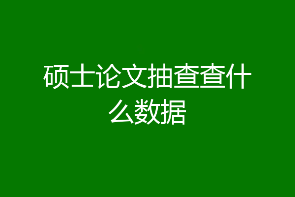 硕士论文抽查查什么数据