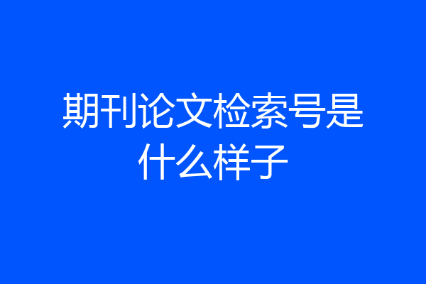 期刊论文检索号是什么样子