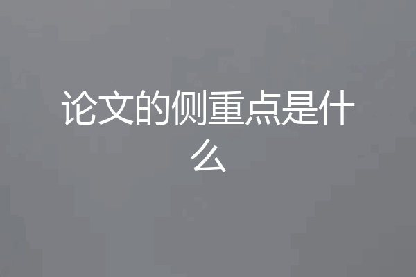 论文的侧重点是什么
