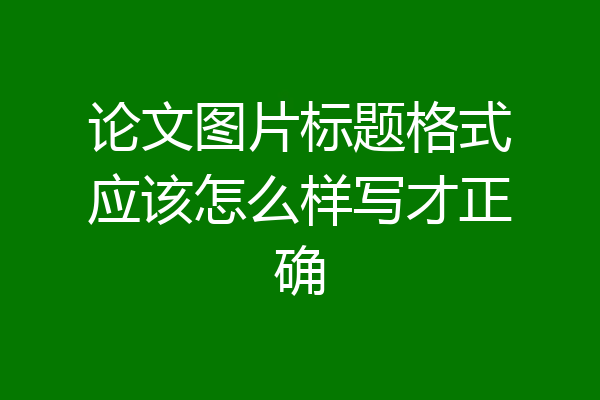 论文图片标题格式应该怎么样写才正确