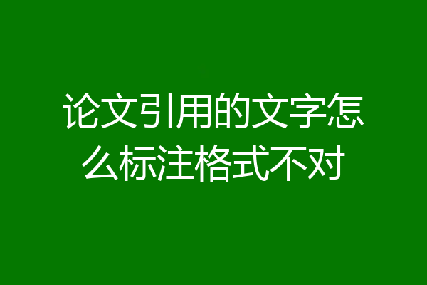 论文引用的文字怎么标注格式不对