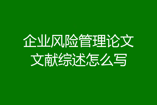 企业风险管理论文文献综述怎么写